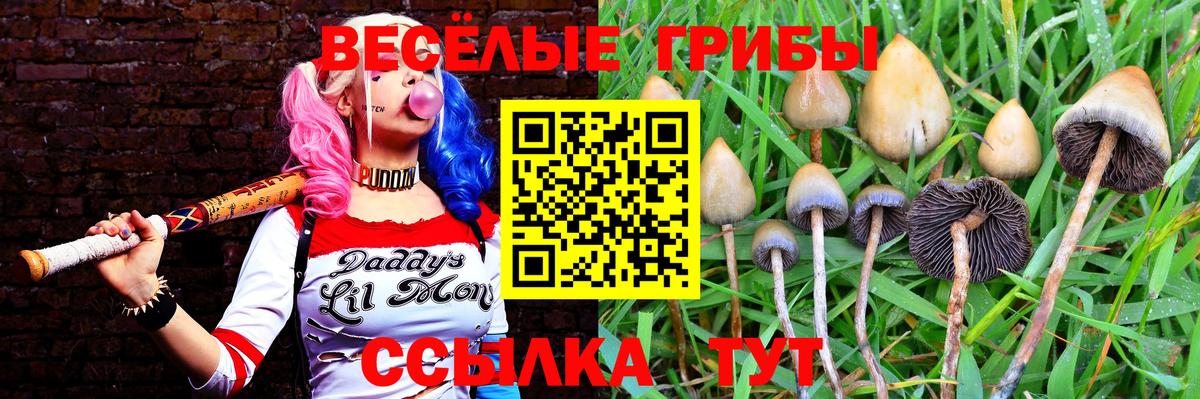 Галлюциногенные грибы MAGIC MUSHROOMS Бийск